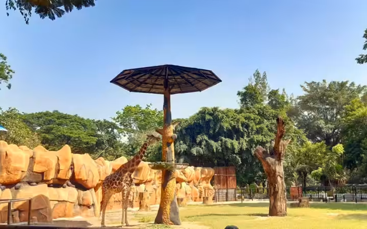 Kebun Binatang Surabaya