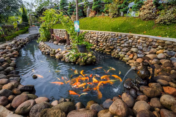 Lokasi The Le Hu Garden