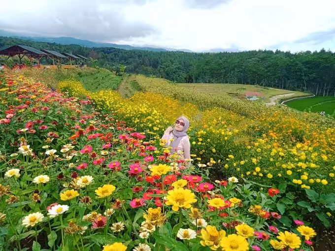 Rainbow Garden Poetoek Soeko