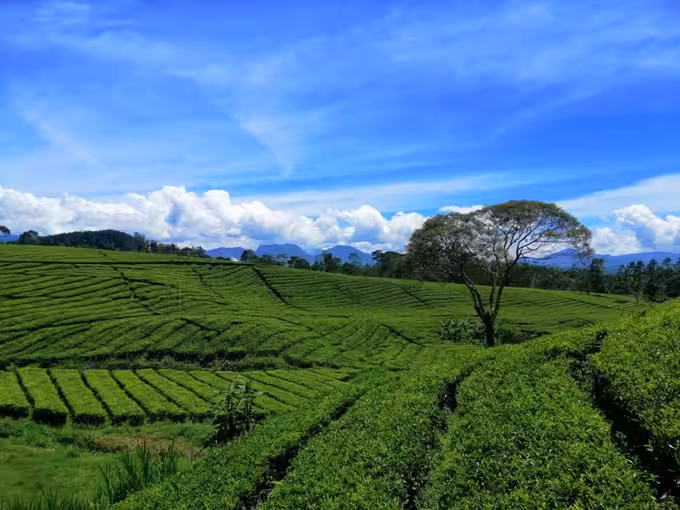 Riung Gunung Pangalengan