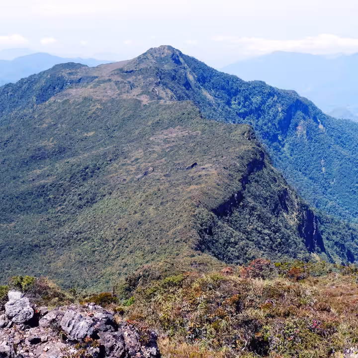 Sejarah Taman Nasional Gunung Leuser