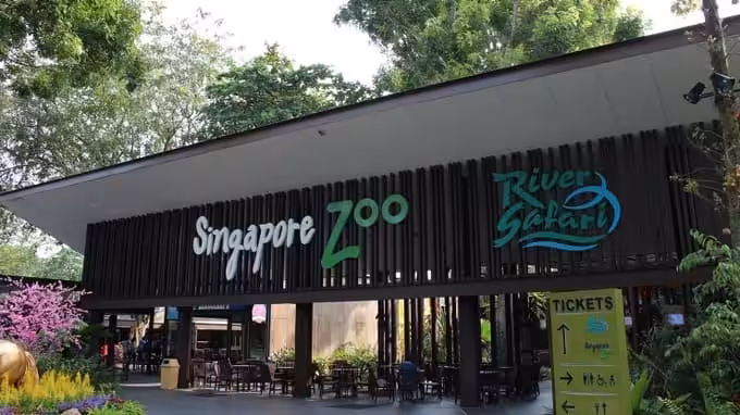 Singapore Zoo