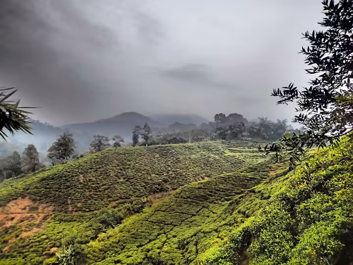 Taman Nasional Gunung Halimun Salak