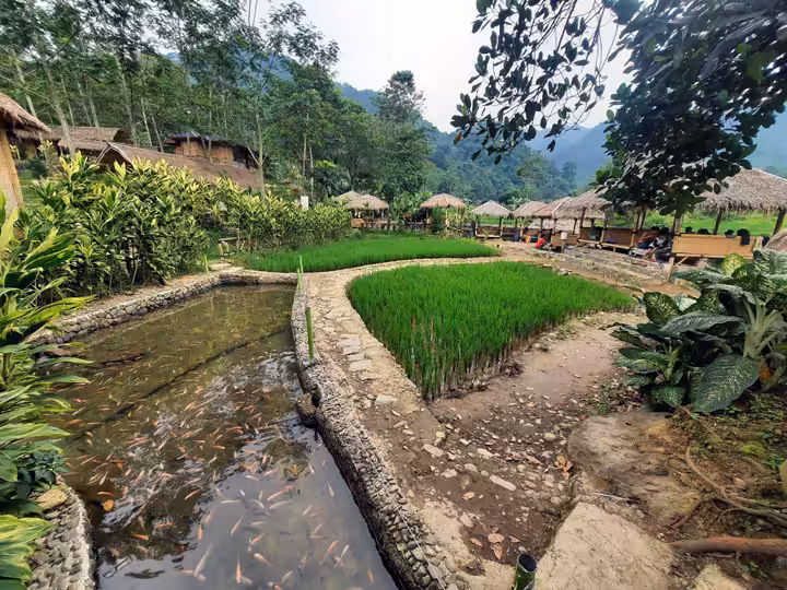 Wisata Leuwi Pangaduan