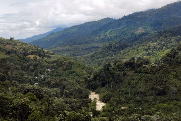 Wisata Taman Nasional Gunung Leuser