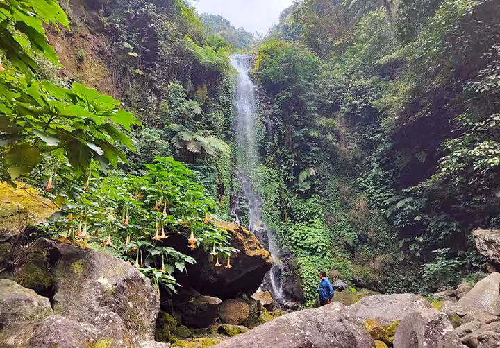 Air Terjun Suwono