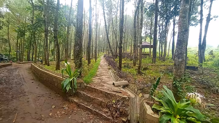 Bukit Salju Ngetos