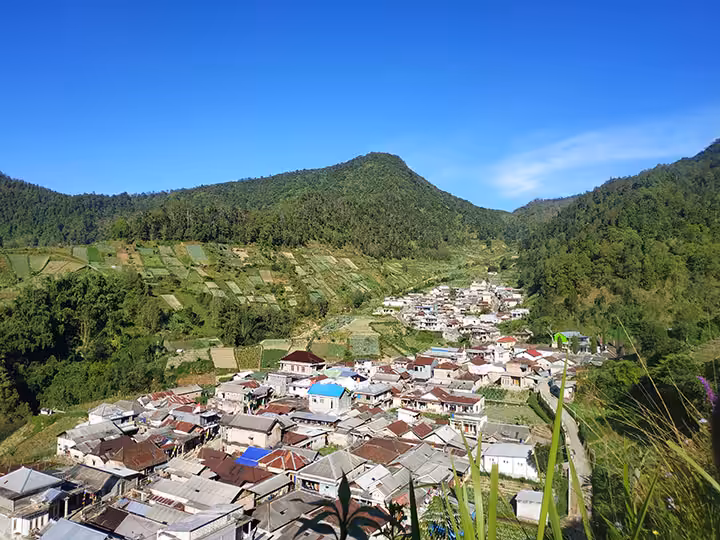 Desa Wisata Wonomulyo