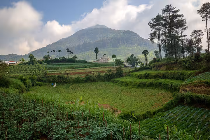 Gunung Rogojembangan