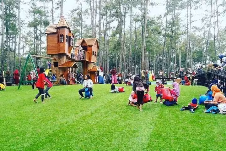 Kemit Forest Education