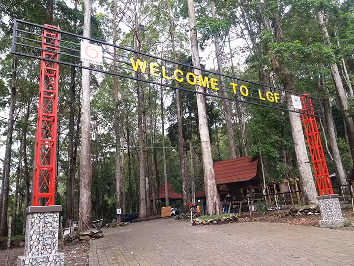 Lawu Green Forest