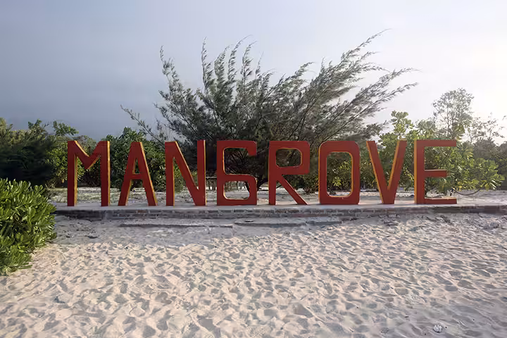 Lokasi Pantai Mangrove Medan
