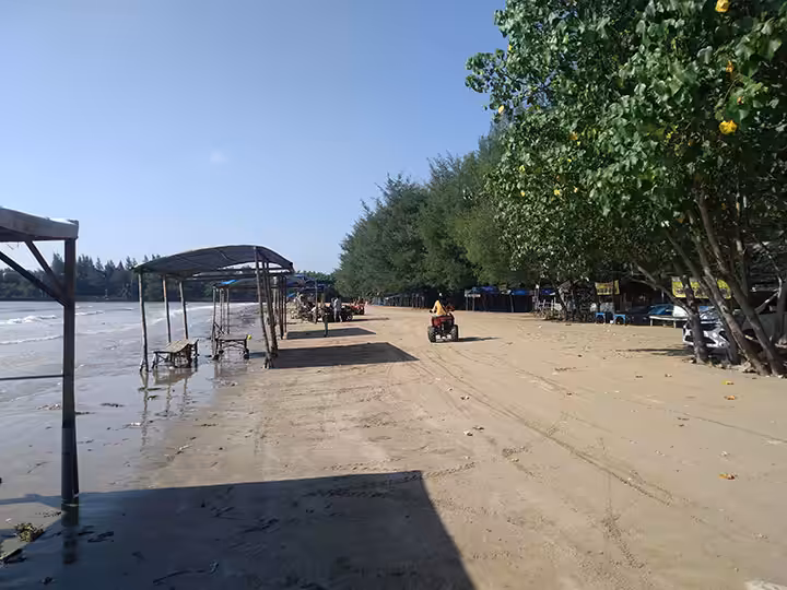 Pantai Cemara Tuban