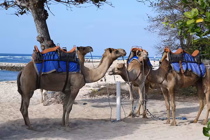 Pantai Sawangan Bali