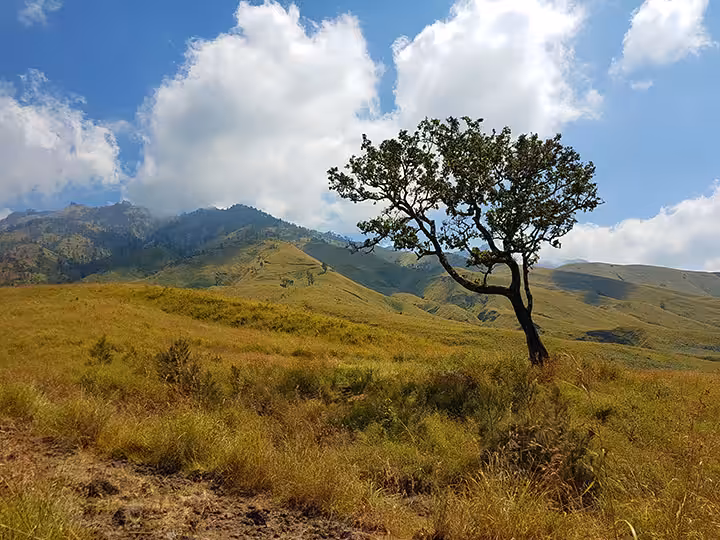 Sejarah Gunung Rinjani