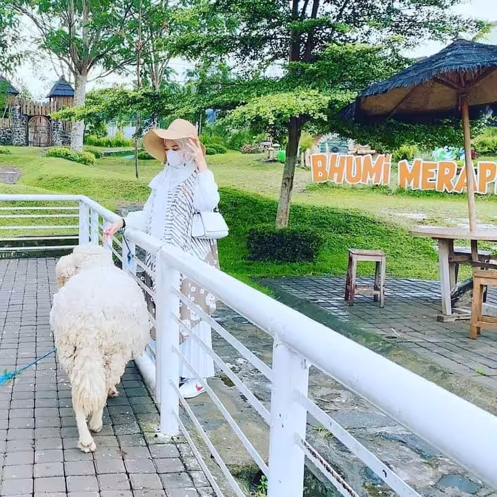 Agrowisata Bhumi Merapi peternakan