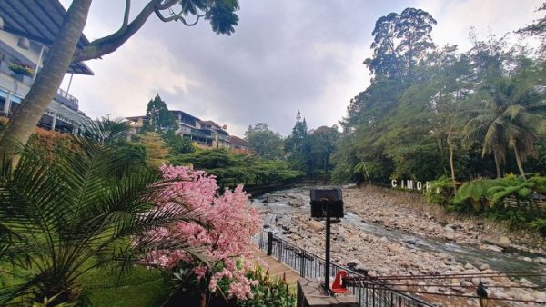 Cimory Riverside: Lokasi, Menu & Harga Tiket Masuk 2026