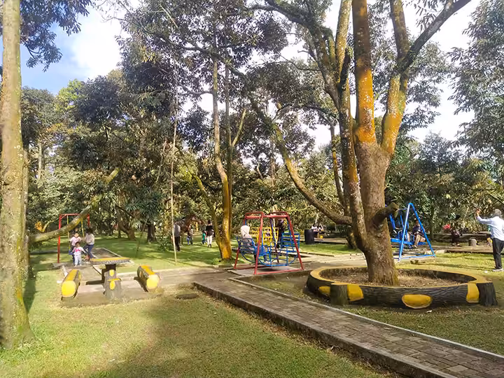 Daya Tarik Kebun Durian Warso Bogor