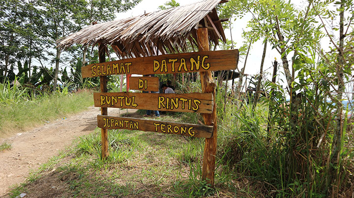 Lokasi Buntul Rintis