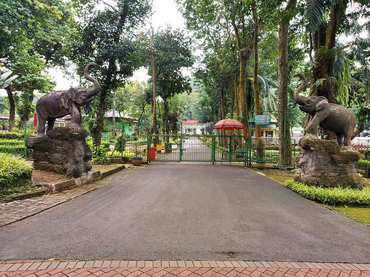Lokasi Kebun Binatang Ragunan