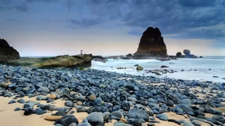 Pantai Papuma Jember terbaru