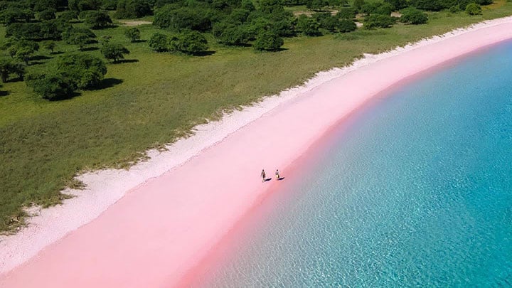 Pink Beach