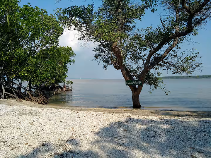 Pulau Mengare Gresik