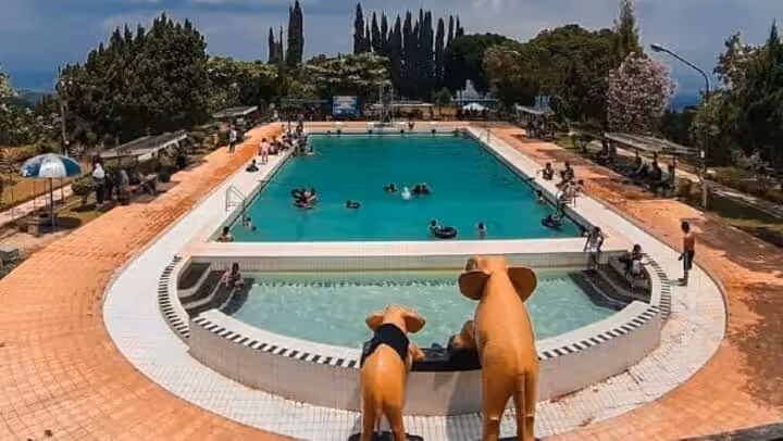 Puncak Rembangan Jember kolam renang