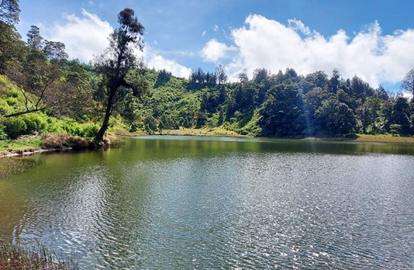 Jalan Ranu Regulo 18 Tempat Wisata Di Lumajang Yang Terkenal Lagi Hits 2025