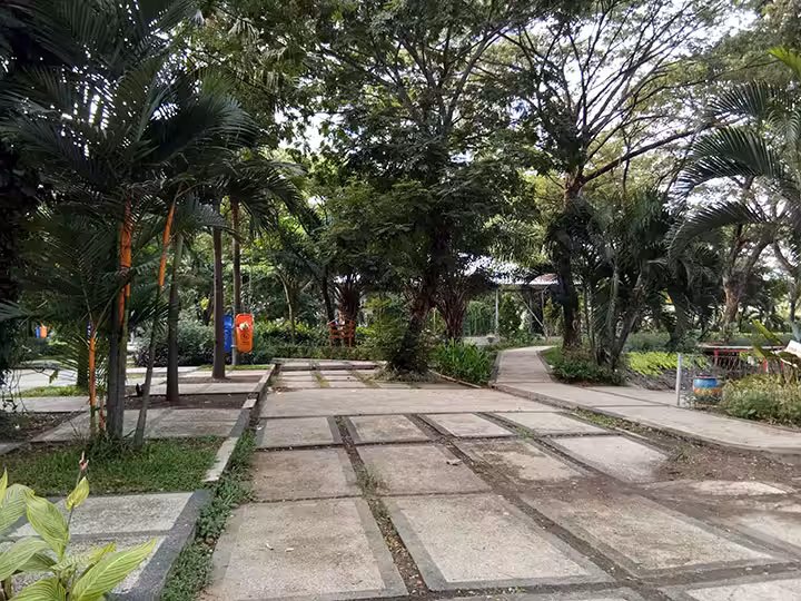 Tiket Masuk Kebun Bibit Wonorejo