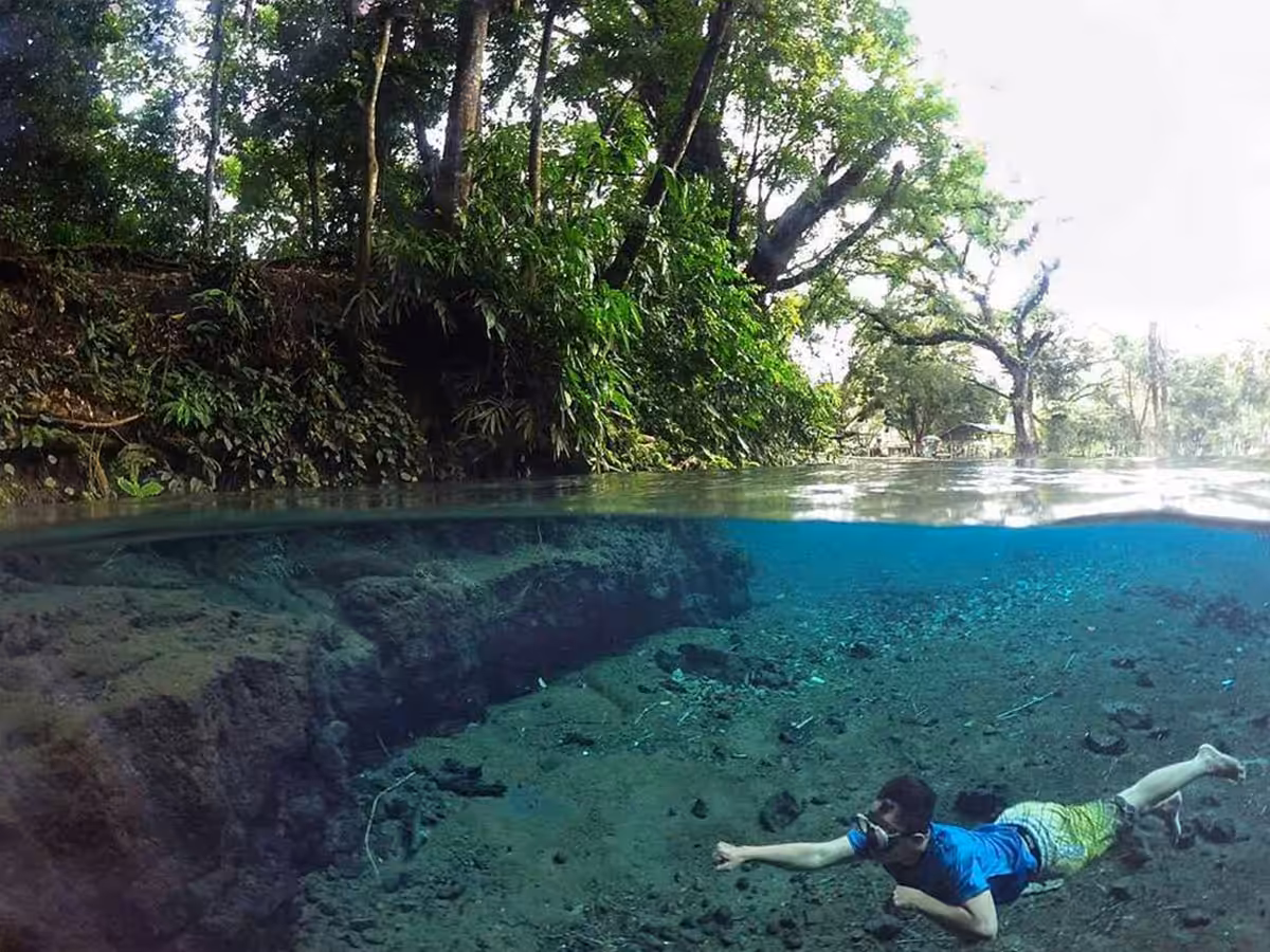 Tiket Masuk Sumber Taman Malang