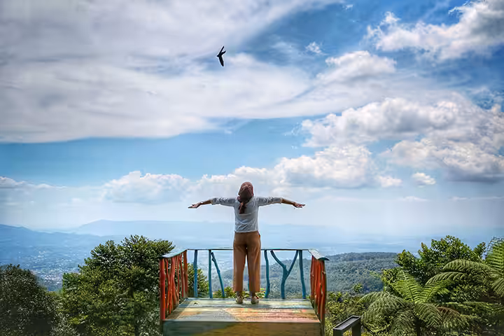 Wisata Bukit Halimun