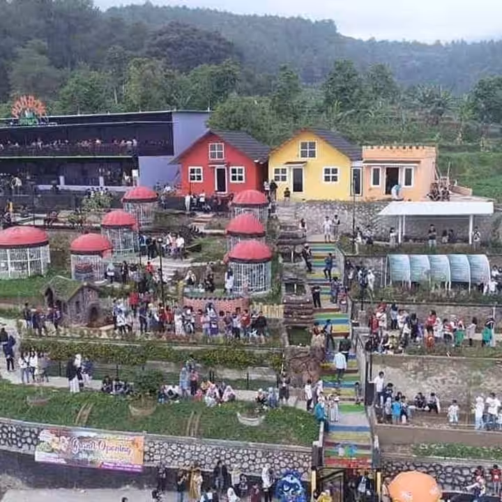 wisata Pondok Pinus Palutungan