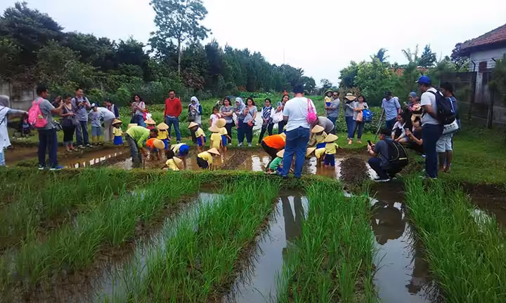 Berkebun dan Bertani di Kuntum Farmfield