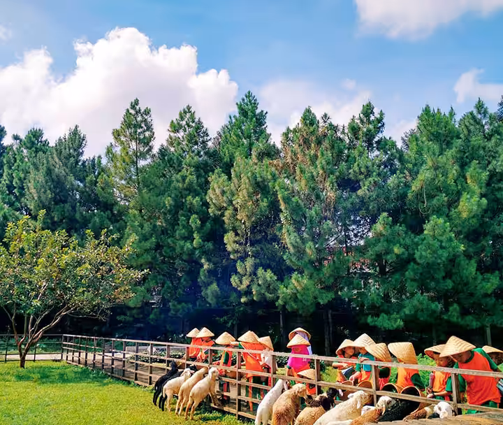 Daya Tarik Wisata Kuntum Farmfield