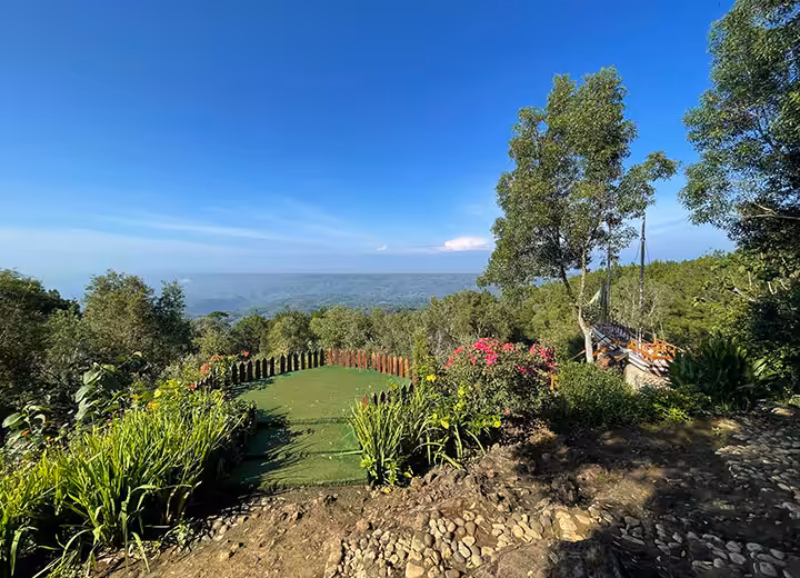 Hutan Pinus Mangunan