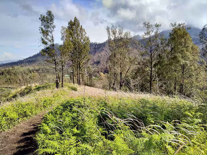 Jalur Pendakian Gunung Ranti