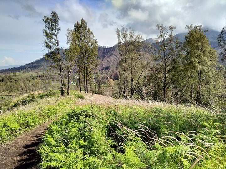 Jalur Pendakian Gunung Ranti