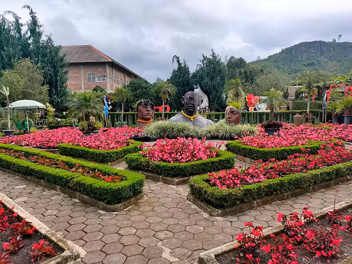 Kebun Begonia Lembang