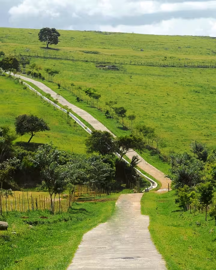 Panorama Padang Mangateh Sumbar
