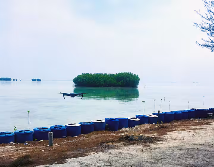 Pulau Burung