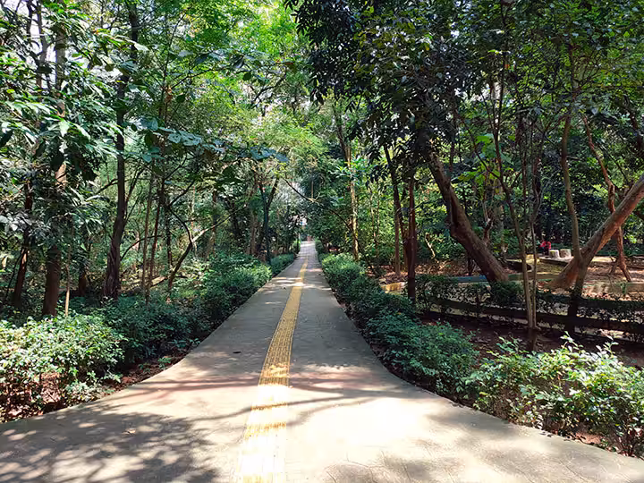 Srengseng City Forest Park