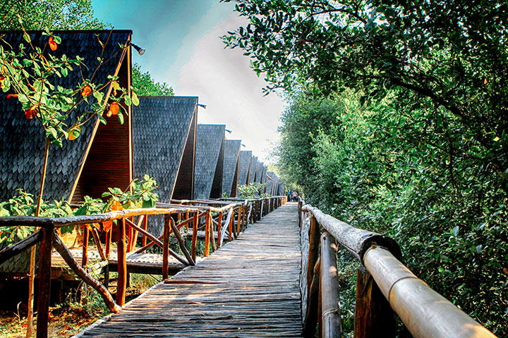 Taman Wisata Alam Mangrove Angke Kapuk