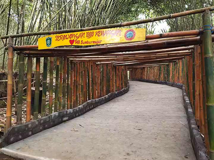 Tiket Masuk Hutan Bambu Lumajang