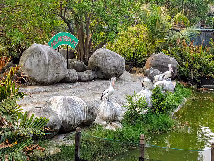 Wisata Allianz Ecopark