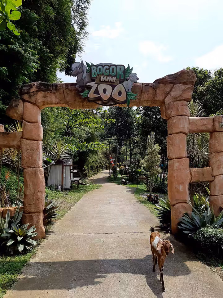 Wisata Bogor Mini Zoo