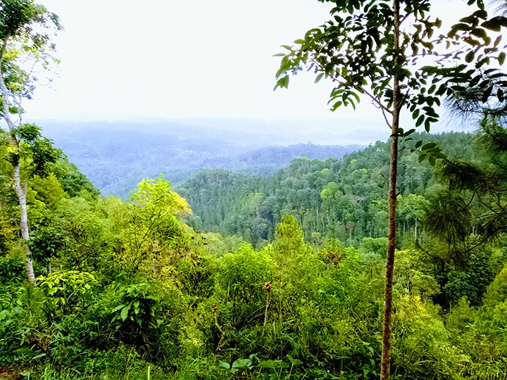 Wisata Gunung Beser