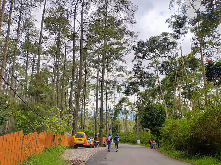 Lokasi Wisata Jayagiri Lembang