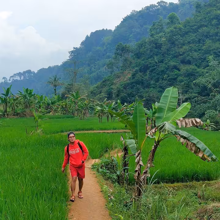 Medan Area Persawahan dan Perbukitan