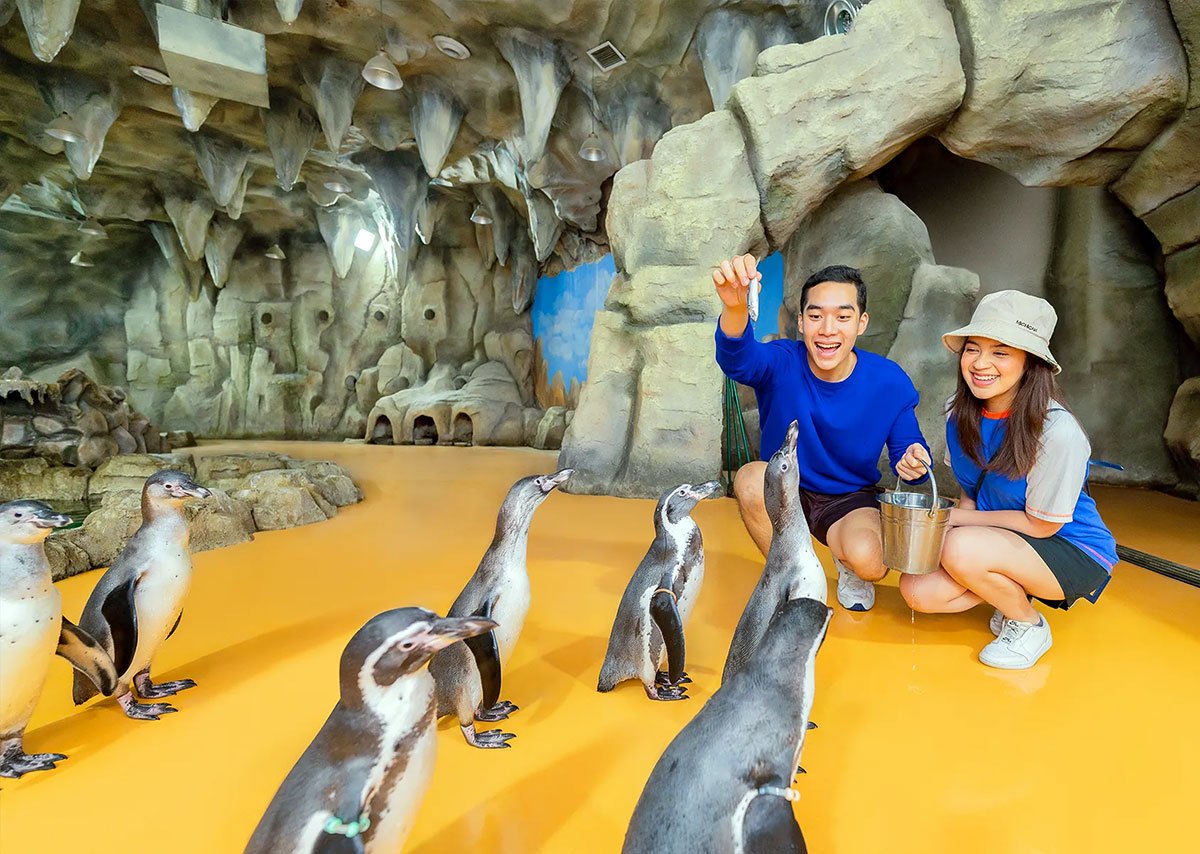 ocean dream samudra-ancol